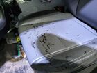 2016 Ford Transit-150   vin: 1FTYE1CMXGKB49264