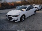 2019 Chevrolet Malibu 1ls Белый vin: 1G1ZB5ST4KF178783