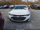 2019 Chevrolet Malibu 1ls Белый vin: 1G1ZB5ST4KF178783