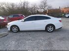 2019 Chevrolet Malibu 1ls Белый vin: 1G1ZB5ST4KF178783