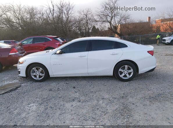1G1ZB5ST4KF178783 2019 CHEVROLET MALIBU Белый Вид задней части салона