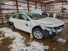 2024 Chevrolet Malibu Lt Белый vin: 1G1ZD5ST3RF179217