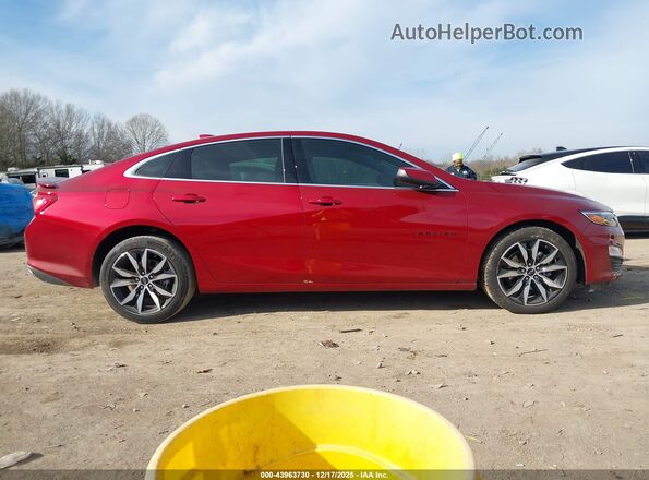 1G1ZG5ST8RF174909 2024 CHEVROLET MALIBU Красный Вид задней части салона