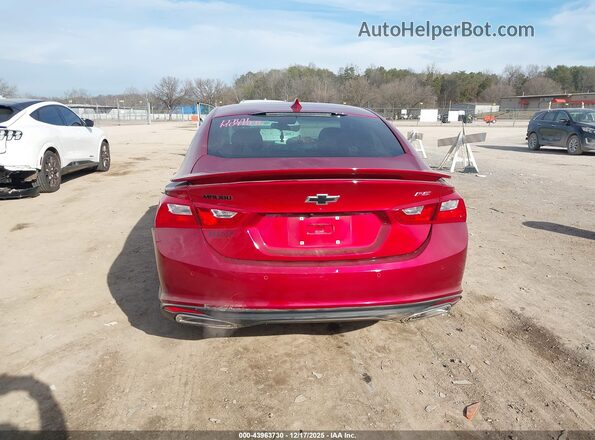 1G1ZG5ST8RF174909 2024 CHEVROLET MALIBU Красный 