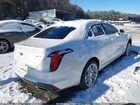 2023 Cadillac Ct4 Premium Luxury Белый vin: 1G6DB5RK1P0114518