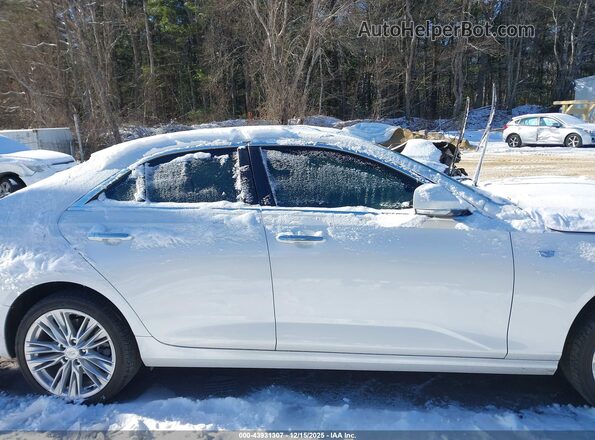 1G6DB5RK1P0114518 2023 CADILLAC CT4 Белый Вид задней части салона