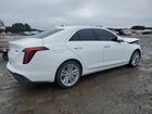 2021 Cadillac Ct4 Premium Luxury Белый vin: 1G6DB5RK7M0145641