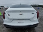 2021 Cadillac Ct4 Premium Luxury Белый vin: 1G6DB5RK7M0145641