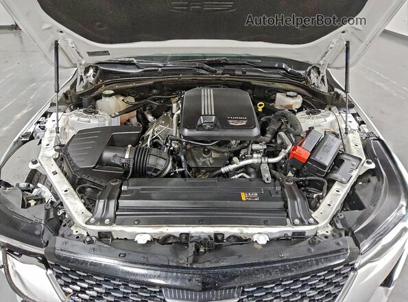 1G6DF5RK2P0119487 2023 CADILLAC CT4 White Սալոնի հետևի տեսք