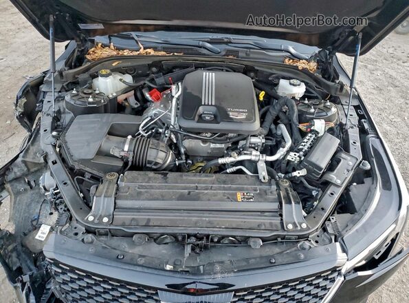 1G6DF5RK5R0103514 2024 CADILLAC CT4 Black Widok wnętrza z tyłu