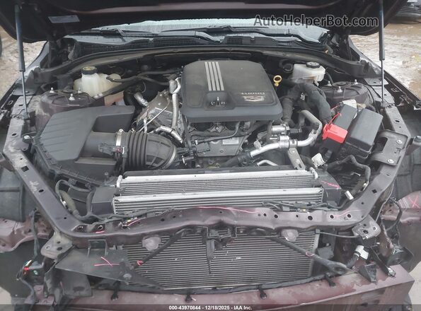 1G6DF5RK6M0112649 2021 CADILLAC CT4 Burgundy Вид ззаду