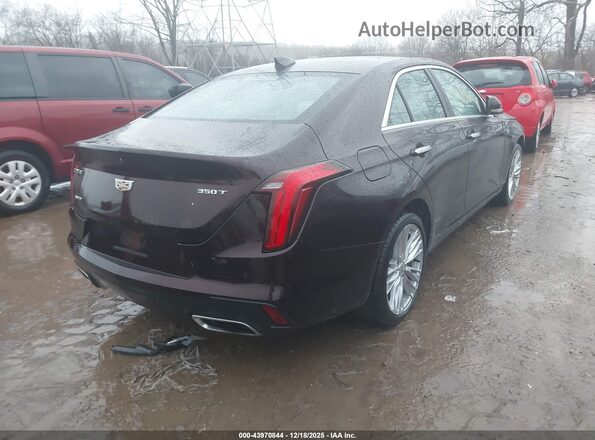 1G6DF5RK6M0112649 2021 CADILLAC CT4 Burgundy Задня права чверть