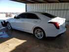 2021 Cadillac Ct4 Premium Luxury Белый vin: 1G6DF5RK6M0114403 Damage: Left Rear Door, Multiple Scratches Heavy, 4 2021 Cadillac Ct4 Premium Luxury Белый vin: 1G6DF5RK6M0114403 Damage: Left Rear Door, Multiple Scratches Heavy, 4