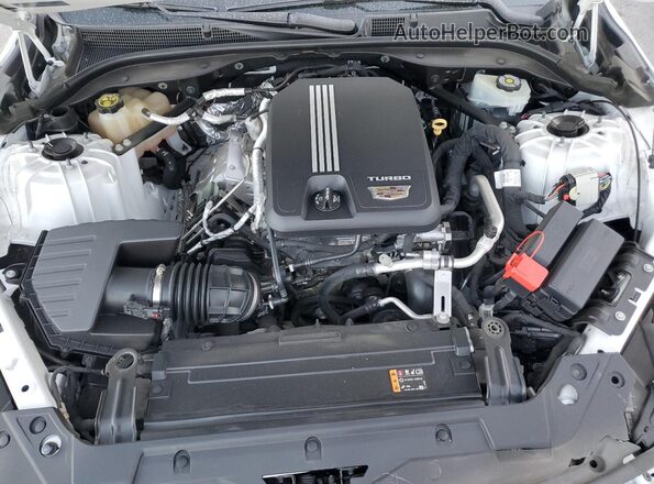 1G6DM5RK7L0124507 2020 CADILLAC CT5 White უკანა სალონის ხედი
