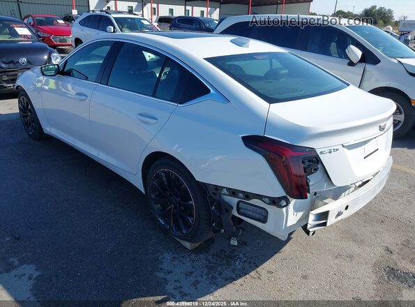 1G6DN5RW8M0143259 2021 CADILLAC CT5 Белый Задняя левая четверть