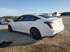 2023 Cadillac Ct5 Sport Белый vin: 1G6DP5RK4P0144310