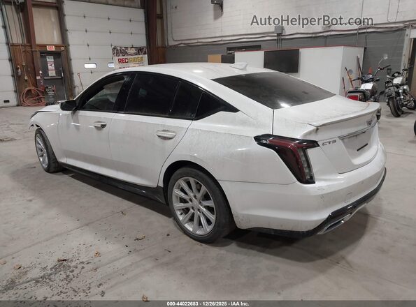 1G6DP5RKXM0113476 2021 CADILLAC CT5 Белый Задняя левая четверть