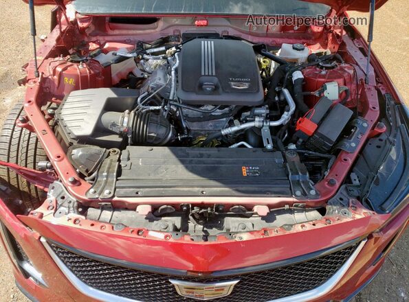 1G6DP5RKXP0120030 2023 CADILLAC CT5 Красный Вид задней части салона