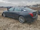 2023 Cadillac Ct5 Luxury Черный vin: 1G6DS5RK8P0116797