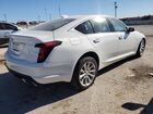 2021 Cadillac Ct5 Luxury Белый vin: 1G6DX5RK8M0146153