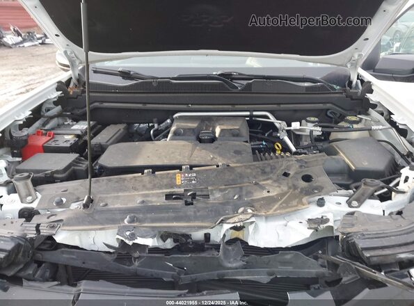 1GCPTFEK4P1265429 2023 CHEVROLET COLORADO Белый Вид сзади