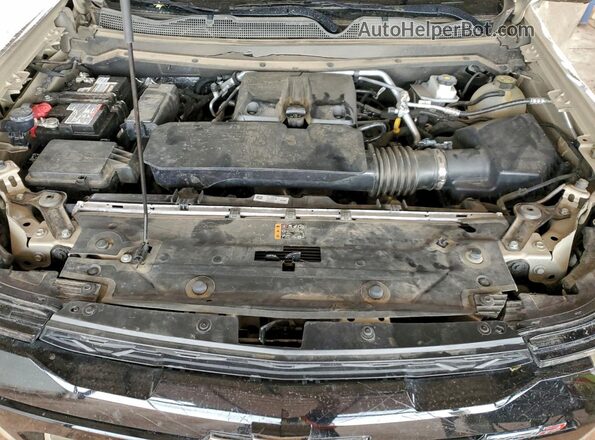 1GCPTFEK5P1264662 2023 CHEVROLET COLORADO Бежевый Вид задней части салона