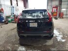 2021 Cadillac Xt4 Awd Premium Luxury Black vin: 1GYFZDR40MF035387