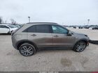 2020 Cadillac Xt4 Awd Sport Бежевый vin: 1GYFZFR41LF135962