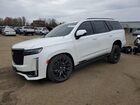 2023 Cadillac Escalade Sport Белый vin: 1GYS4FKL5PR294941