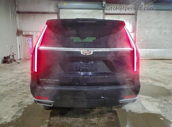 1GYS4KKL6PR211199 2023 CADILLAC ESCALADE Черный Вид сзади