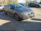 2017 Nissan Maxima 3.5 Sl Gray vin: 1N4AA6AP1HC405171