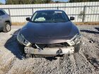 2016 Nissan Maxima 3.5s Brown vin: 1N4AA6AP8GC380218 2016 Nissan Maxima 3.5s Brown vin: 1N4AA6AP8GC380218