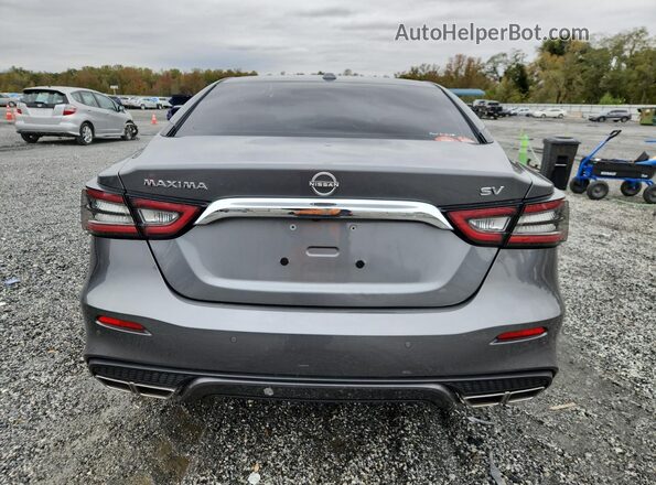 1N4AA6CV0PC510973 2023 NISSAN MAXIMA Gray Вид ззаду