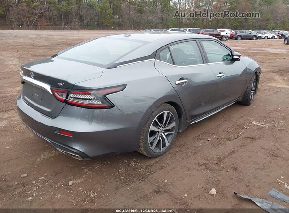 1N4AA6CV1PC508777 2023 NISSAN MAXIMA Gray Rear right