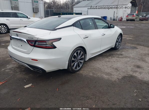 1N4AA6FV2PC502563 2023 NISSAN MAXIMA PLATINUM Белый Задняя правая четверть