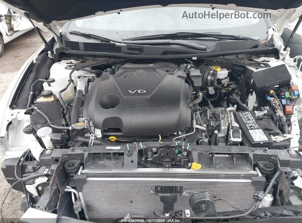 1N4AA6FV2PC502563 2023 NISSAN MAXIMA PLATINUM Белый Вид сзади