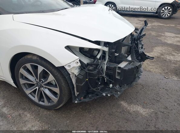 1N4AA6FV2PC502563 2023 NISSAN MAXIMA PLATINUM Белый 