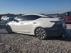 2023 Nissan Maxima Platinum Белый vin: 1N4AA6FV2PC512512