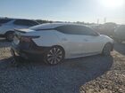 2023 Nissan Maxima Platinum Белый vin: 1N4AA6FV2PC512512