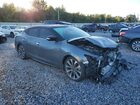2023 Nissan Maxima Platinum Серый vin: 1N4AA6FV3PC514172