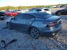 2023 Nissan Maxima Platinum Серый vin: 1N4AA6FV3PC514172
