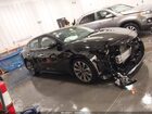 2023 Nissan Maxima Platinum Xtronic Cvt Черный vin: 1N4AA6FV6PC502498