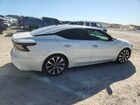 2020 Nissan Maxima Platinum Белый vin: 1N4AA6FV9LC377975