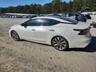 2020 Nissan Maxima Platinum Белый vin: 1N4AA6FV9LC377975