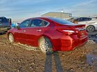2016 Nissan Altima 2.5 Красный vin: 1N4AL3AP7GN316734