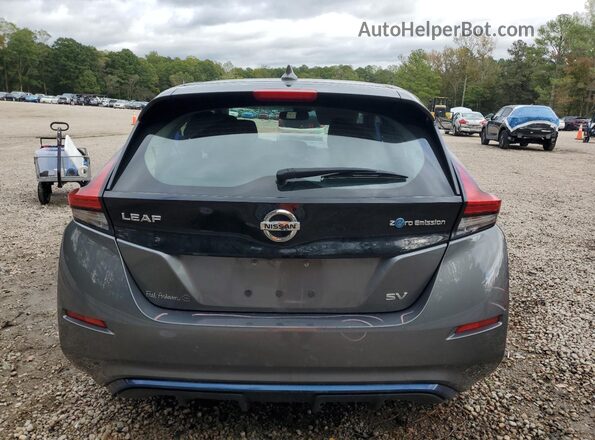 1N4AZ1CP8LC306560 2020 NISSAN LEAF Серебряный Вид сзади
