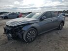 2024 Nissan Altima Sv Gray vin: 1N4BL4DV2RN328295
