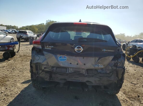 1N4BZ1CP4LC311632 2020 NISSAN LEAF Gray Հետևի տեսք
