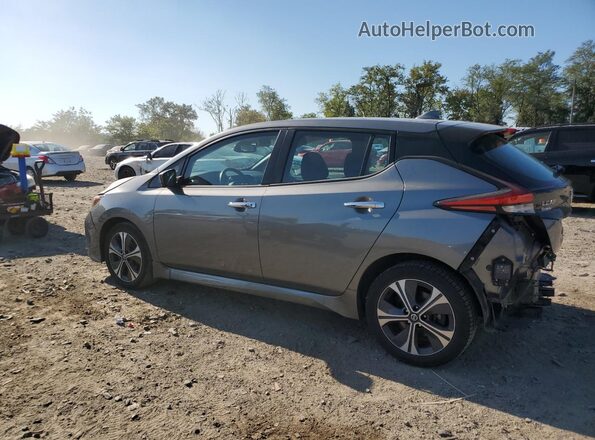 1N4BZ1CP4LC311632 2020 NISSAN LEAF Gray Հետևի ձախ