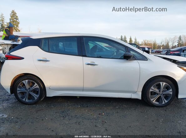 1N4BZ1DP8LC310465 2020 NISSAN LEAF Белый Вид задней части салона